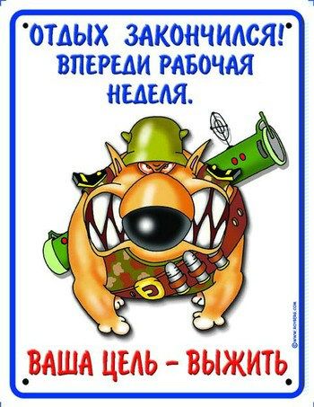 праздники кончились.jpg