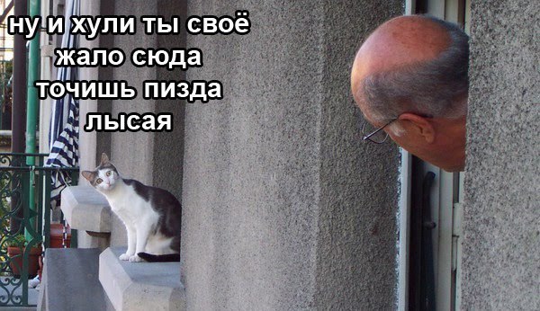 Cze5GfrFAnU.jpg